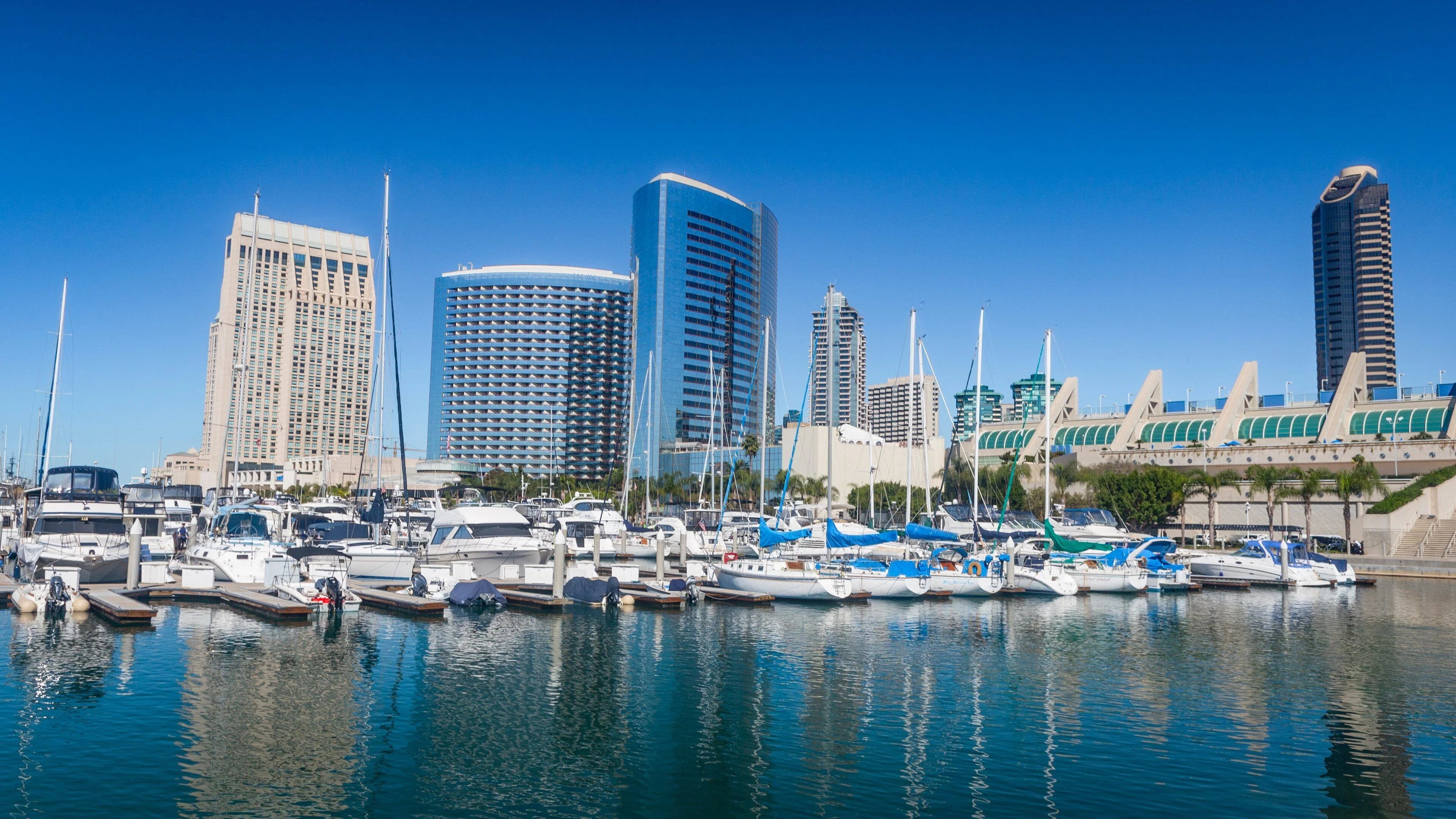 Marina with boats docked below the downtown San Diego skyline